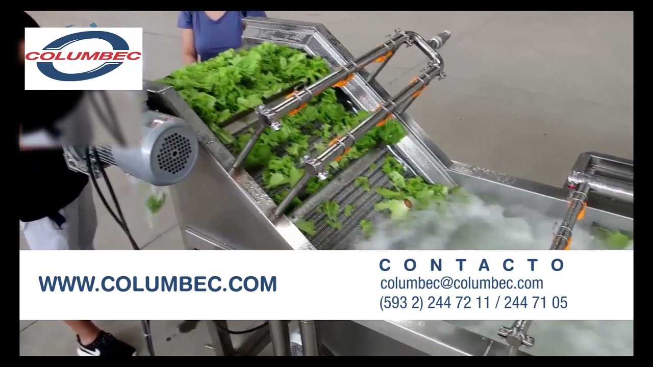 LAVADORA DE VEGETALES