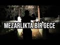 Arkadaşım Max - Tek Parça - YouTube