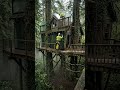 An abandoned villa hidden deep in the forest transformed step by step into a modern luxury residence