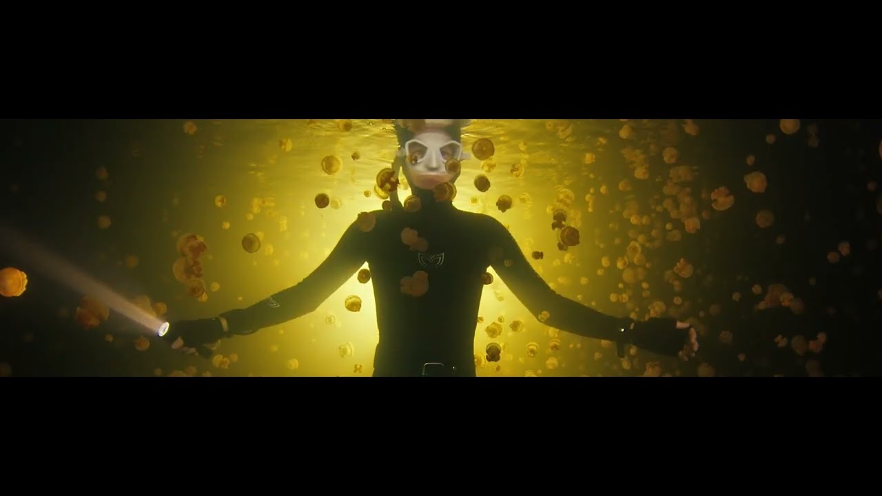 Promotional Video