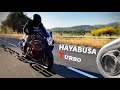 Hayabusa turbo thorn bikes