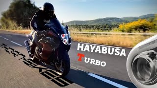 Hayabusa Turbo Thorn Bikes