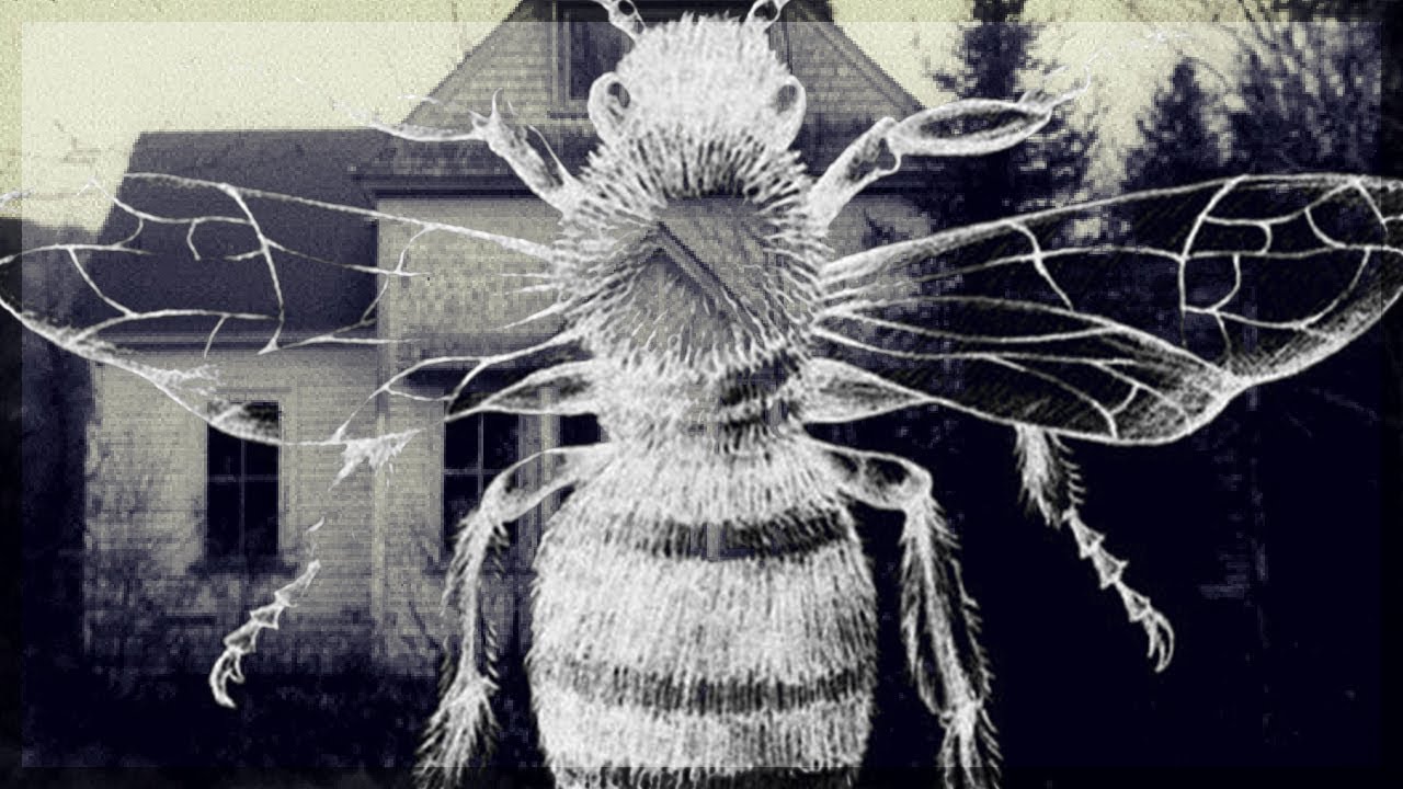 Film Les Abeilles Tueuses [-15] LES ABEILLES TUEUSES ! - YouTube