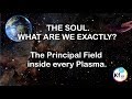 The soul  principal field inside every plasma plasma science basics series