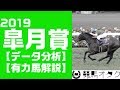 【2019皐月賞】高速決着必至!「適性」より「素質」?(レース傾向・有力馬解説)