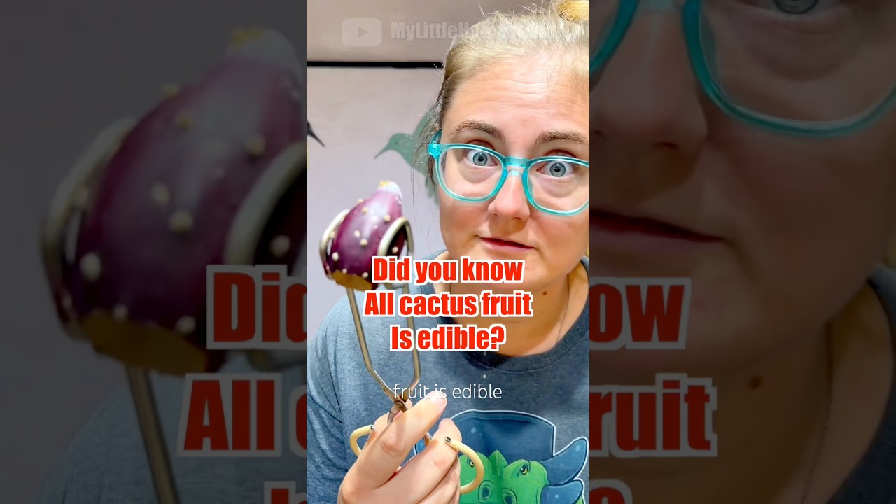 Are All Cactus Fruits Edible? …kinda