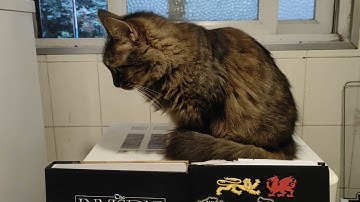 Wokist OSR-Haters Keep Thwarting Themselves