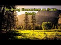 Two Chilling Stories from Remote Country Roads