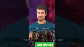 which fungus is called zombie?‍️ fungus???#dhruvrathee #drshorts #fact #study #shortfeed#viralvideo