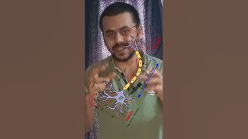 A for ANN : A-Z of Data Science #Shorts