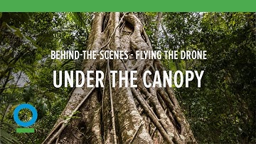 Under the Canopy: Behind-the-Scenes - Flying the Drone | Conservation International (CI)