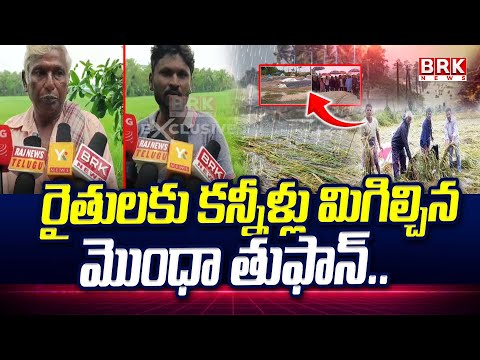 Cyclone Montha Effect: కన్నీరే మిగిల్చిన మొంధా | Heavy Rains Losses Paddy Crop In Konaseema - TV9