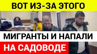 Главная причина массового столкновения между мигрантами и силовиками в Садоводе