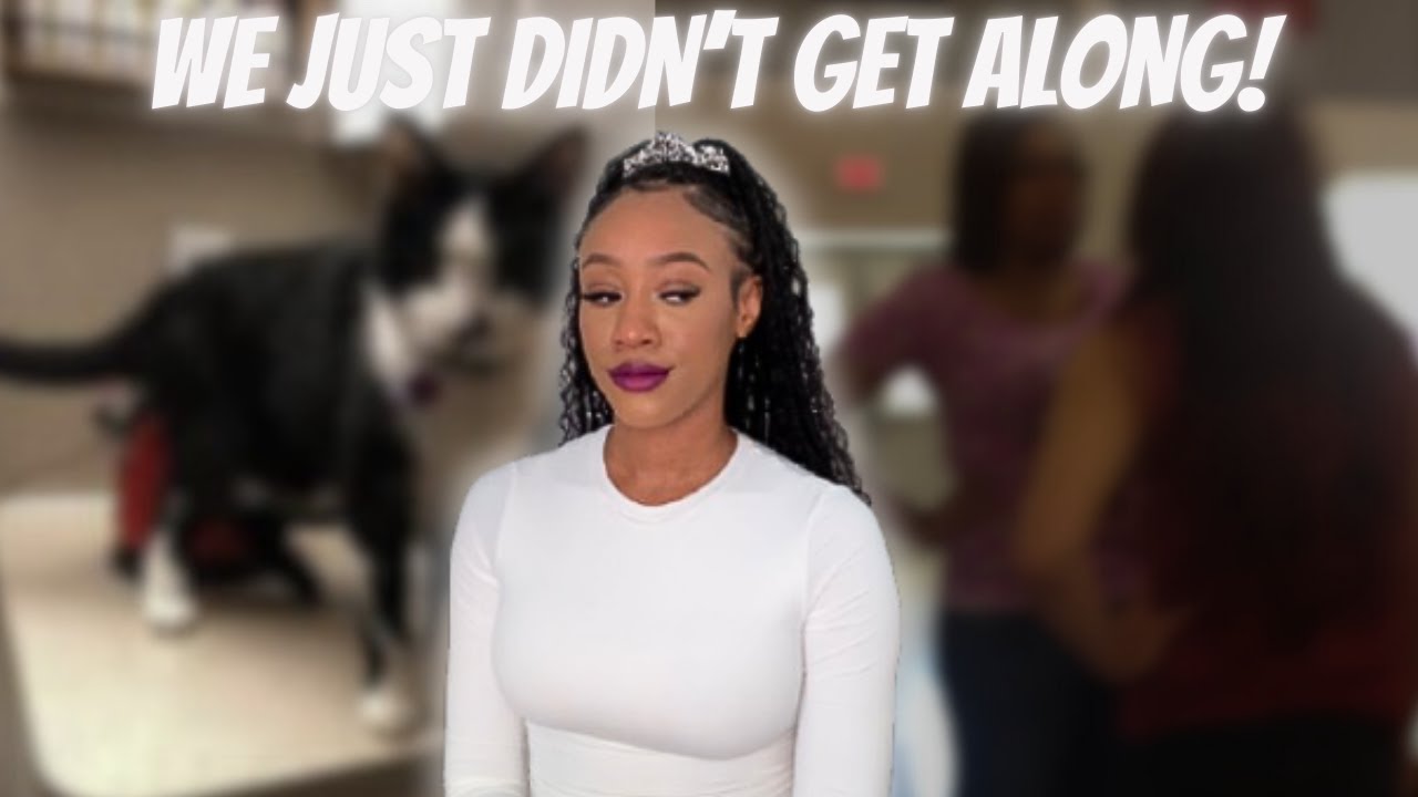 STORYTIME: ROOMMATE FROM HELL! WE KEPT ARGUING! IS YOU COOL!? PART2 |KAY SHINE
