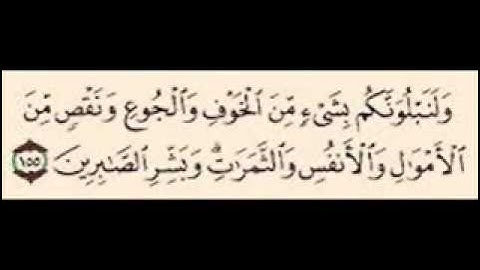 سورة البقره ايه 154 -  155