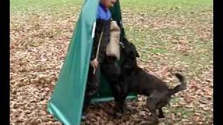 Devil Revier Verbellen 15 11 09