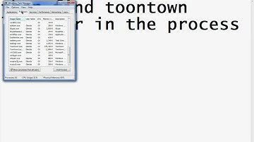 How to play two toontown account at the same time