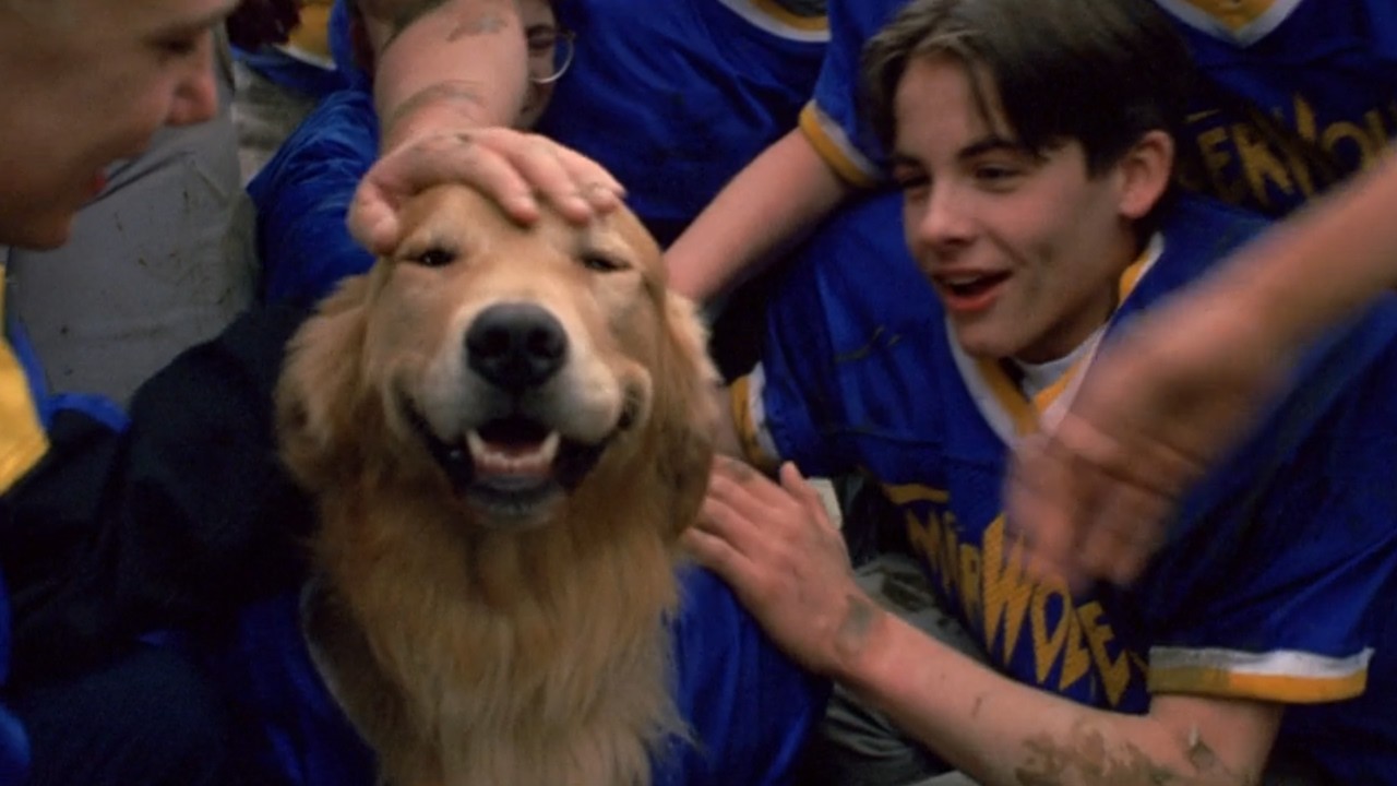 Who let him on the team!?