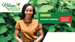 Focus on Managu Farming | Kilimo na Biashara