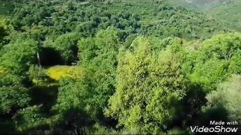 سورة الشرح   الشيخ محمد المحيسني