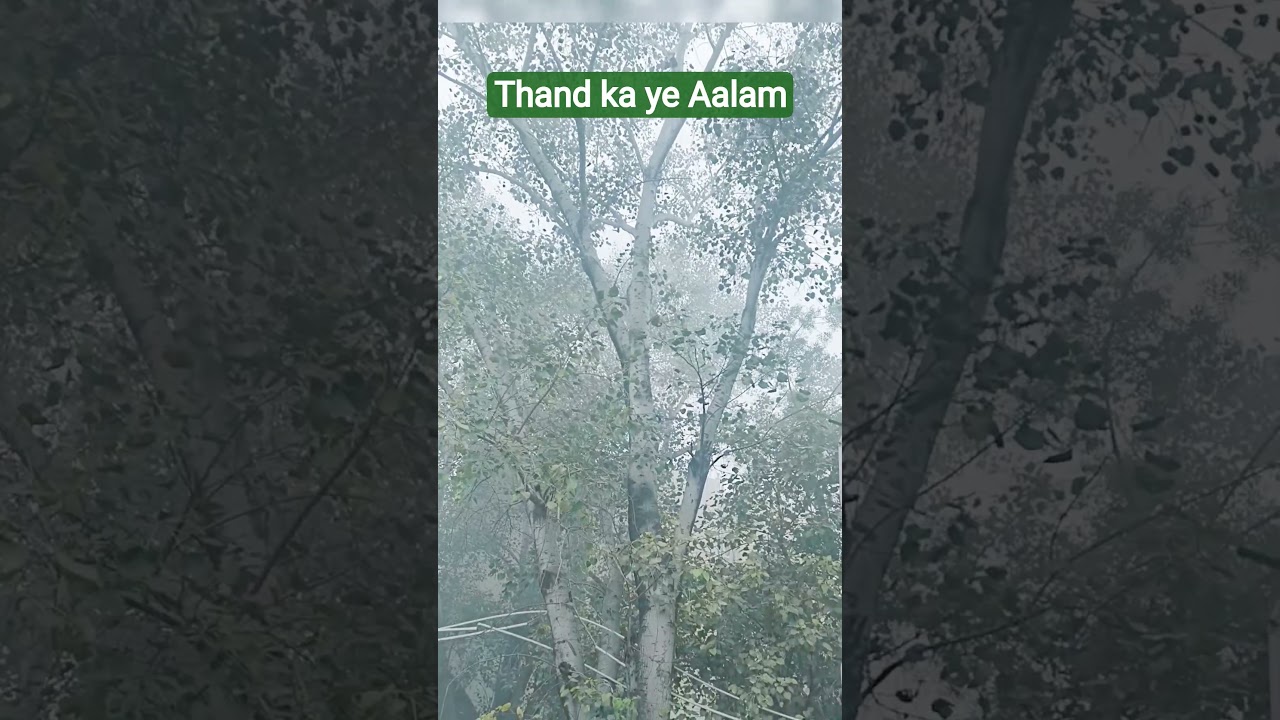 thandi ka  Aalam delhi ki sardi 