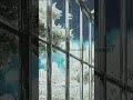 Rainy Day Cafe Lofi Music 🌧️ Study, Work &amp; Focus Music | Relaxing Coffee Shop Ambience #shorts #7