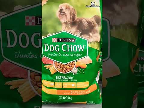 Video: 12 productos para consentir a tu cachorro en la Semana Nacional del Perro