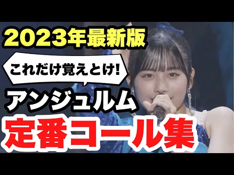 [ANGERME] Master These 8 Essential Calls!