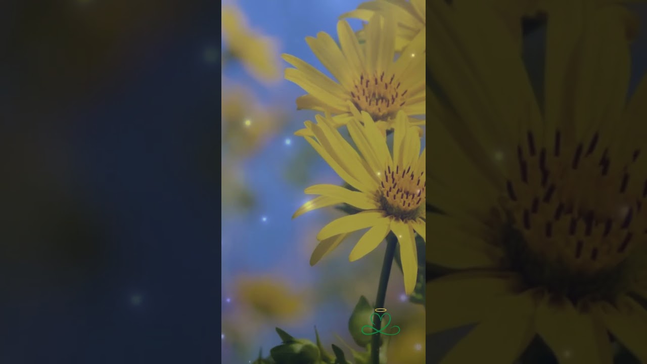 Awaken Confident 💛🔥 528Hz Solar Plexus Alignment | Overflow Era