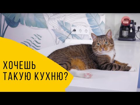 Матовая кухня на заказ. ОТЗЫВЫ наших клиентов