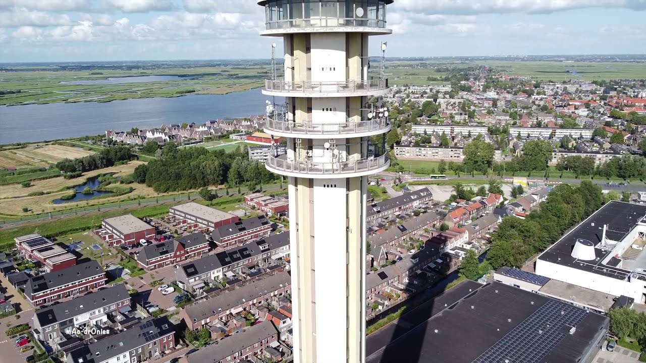 stukje vliegen bij de zaan in wormerveer