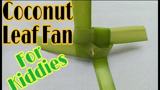 Coconut| leaves| fan Sl real life
