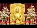 बुद्ध वन्दना🙏 #buddhateachings #bhakti #shortvideo #gautambuddha