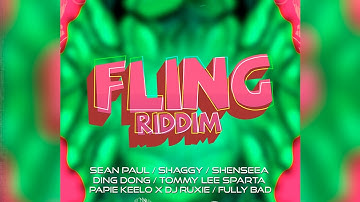 FLING RIDDIM MIX