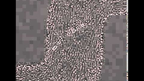 Formation of Biofilm Streamers