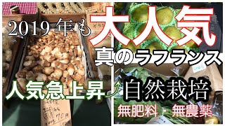 2019年度！真のラ.フランスご予約！&自然栽培野菜