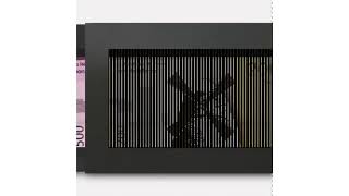 French Stimulus Vouchers Dynamic Effect