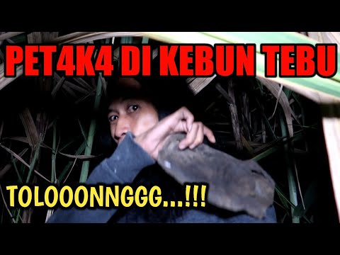 H4MP1R M4T1! Kesasar di Kebun Tebu Sampe PingS4n | Konten Nekat (KONEK)