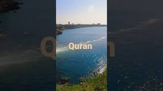 Surah Ghafir ayat 51-55
