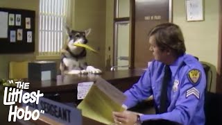 Portrait Of Danger The Littlest Hobo Season 2 Episode 13