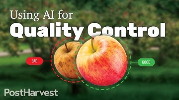 How AI Is Helping Fresh Produce