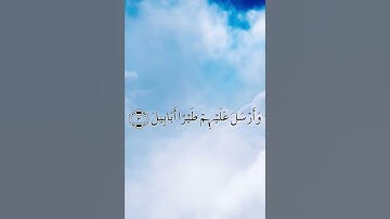 سورة الفيل بصوت فضيلة الشيخ عبدالرحمن السديس