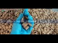 Pillow Chocolate filling snacks Food Twin screw extruder machinery snacks bar cheese ball curls