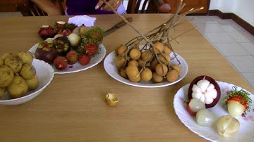 Comparing Longan, Rambutan, Mangosteen, Lychee, and Longkong | Video