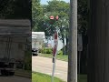 Trailer Tuna Canned By A Bridge #shorts