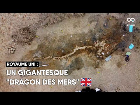 Vidéo: Artillerie de la Grande Armée de Napoléon : canons et munitions