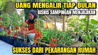 UANG MENGALIR TIAP BULAN!!! BISNIS SAMPINGAN DARI MENANAM SAYUR DI PEKARANGAN RUMAH