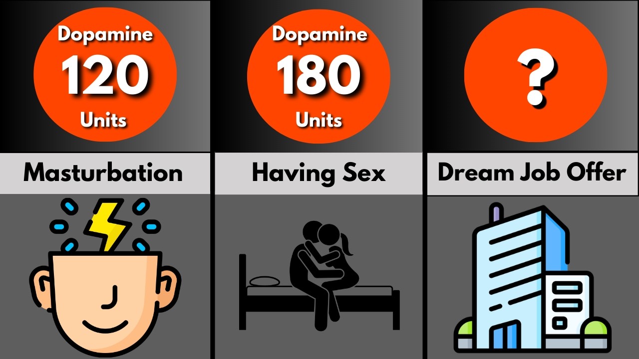 Human Most Pleasurable Things | Data Comparison