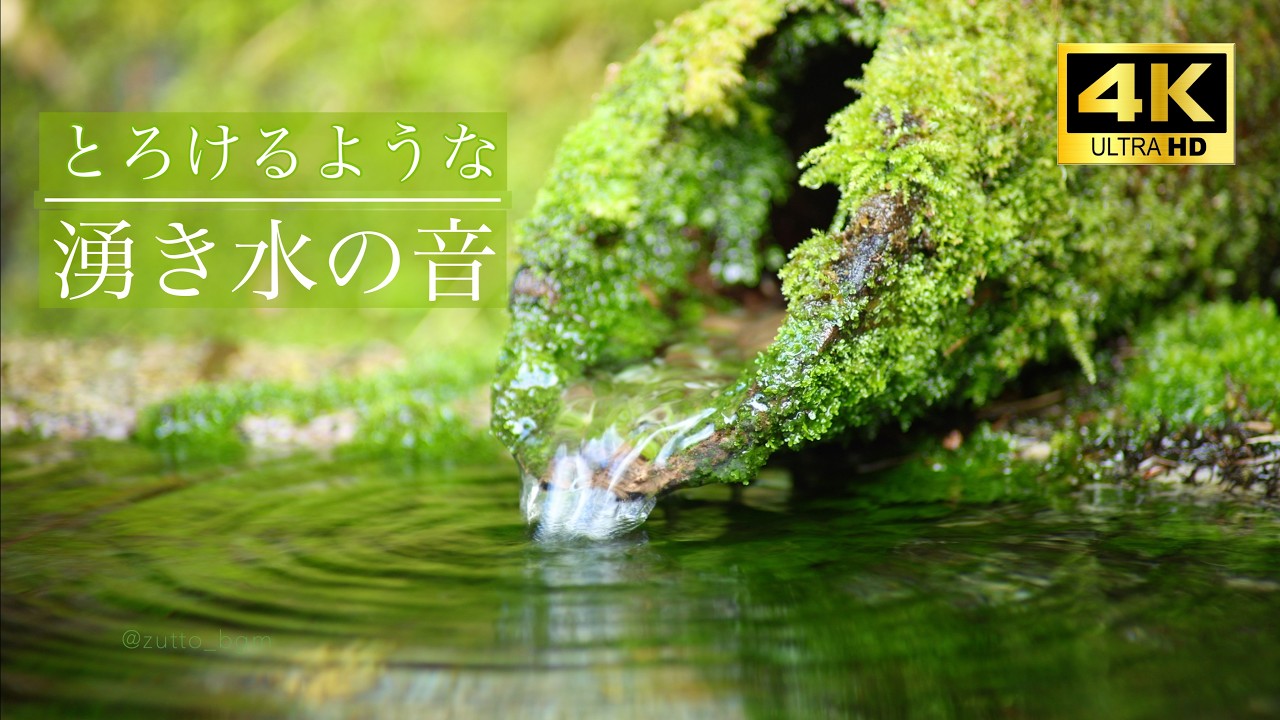 【自然の音と4K映像】湧き水の音 sound of spring water ASMR