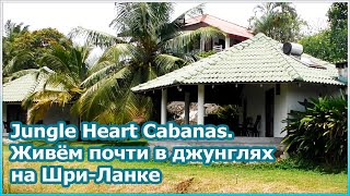 Jungle Heart Cabanas - тихое и атмосферное место на Шри-Ланке! [№112]